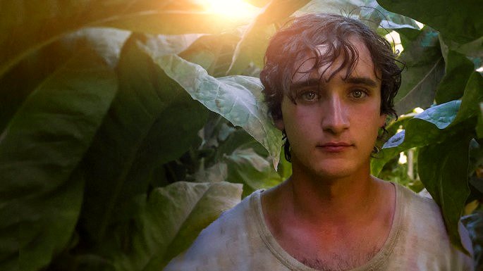 Una escena de la película Lazzaro Felice muestra a un niño entre el follaje.